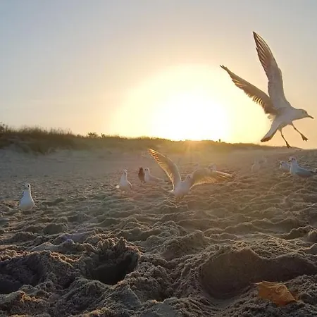 Lejlighed Skorpion Marina & Sagaris *