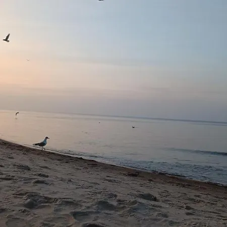 Lejlighed Skorpion Marina & Sagaris