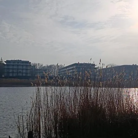 Skorpion Marina & Sagaris