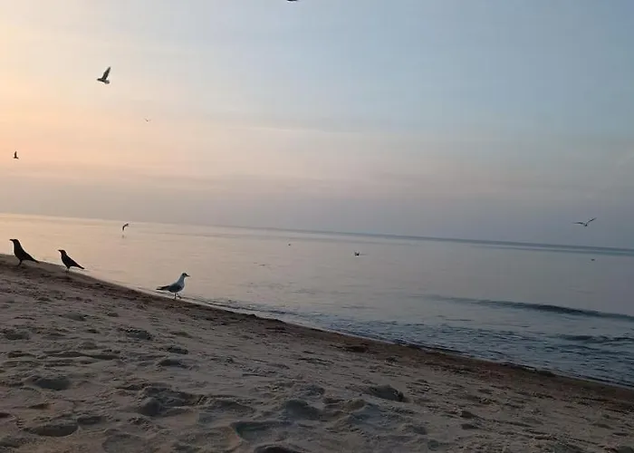 Apartament Skorpion Marina&spa Sagaris